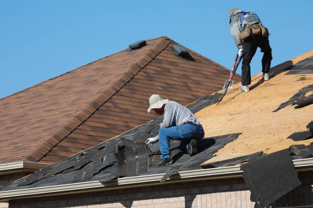 Best Solar Panel Roofing Installation  in Waynesville, MO