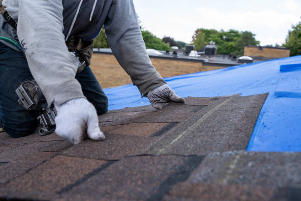 Roof Insulation Installation in Waynesville, MO